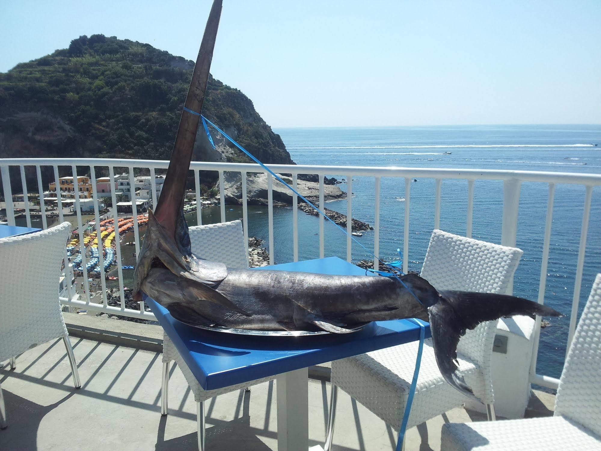 Hotel Villa Sirena Sant'Angelo  Esterno foto